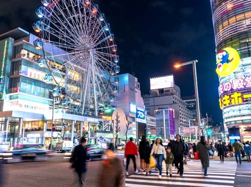 �h�Ńi���p