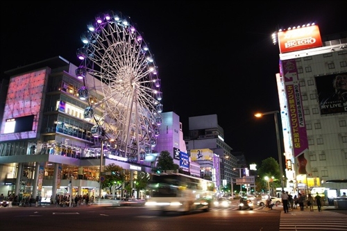 �h�Ńi���p