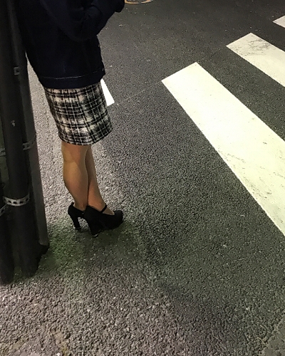 ���É��̂�����ځ@�[�����̂�����ڏ��